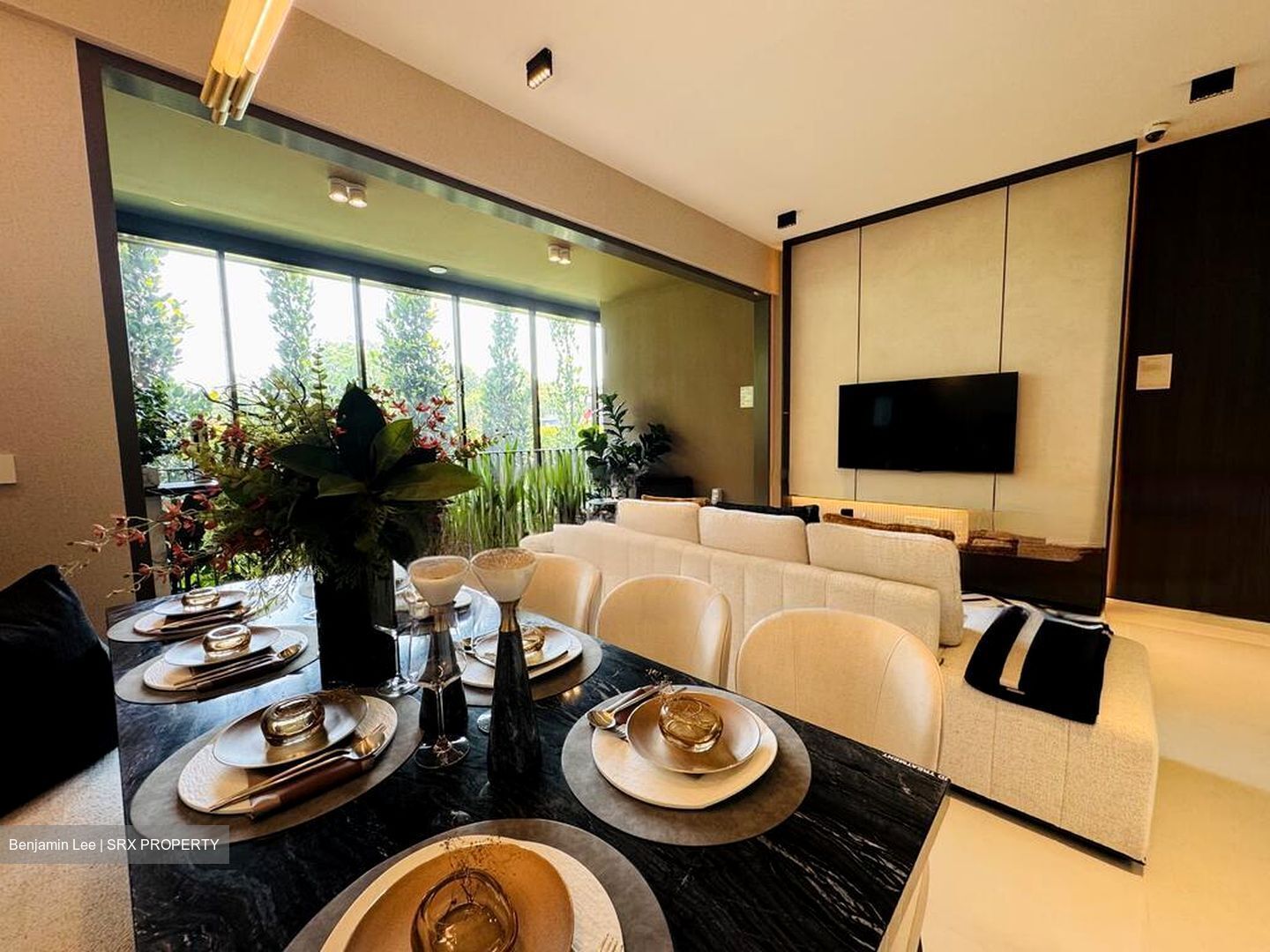 Kassia (D17), Condominium #454822591